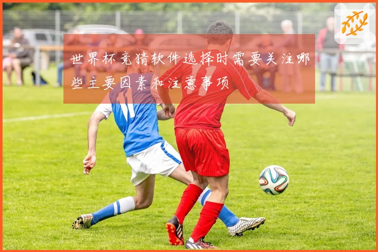 世界杯竞猜软件选择时需要关注哪些主要因素和注意事项