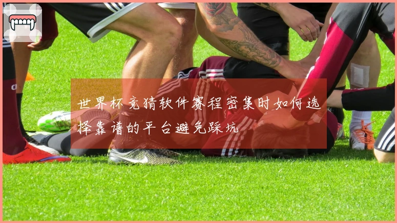 世界杯竞猜软件赛程密集时如何选择靠谱的平台避免踩坑