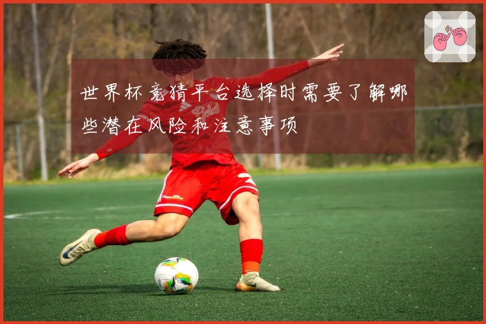 世界杯竞猜平台选择时需要了解哪些潜在风险和注意事项